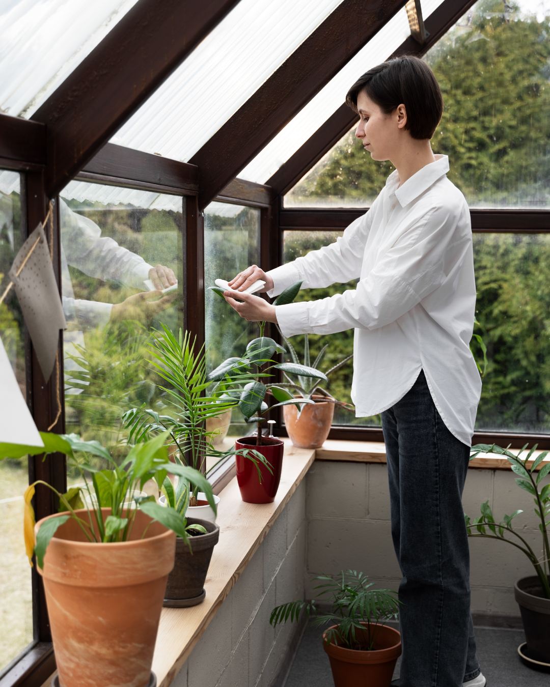 izmir urla conservatory systems